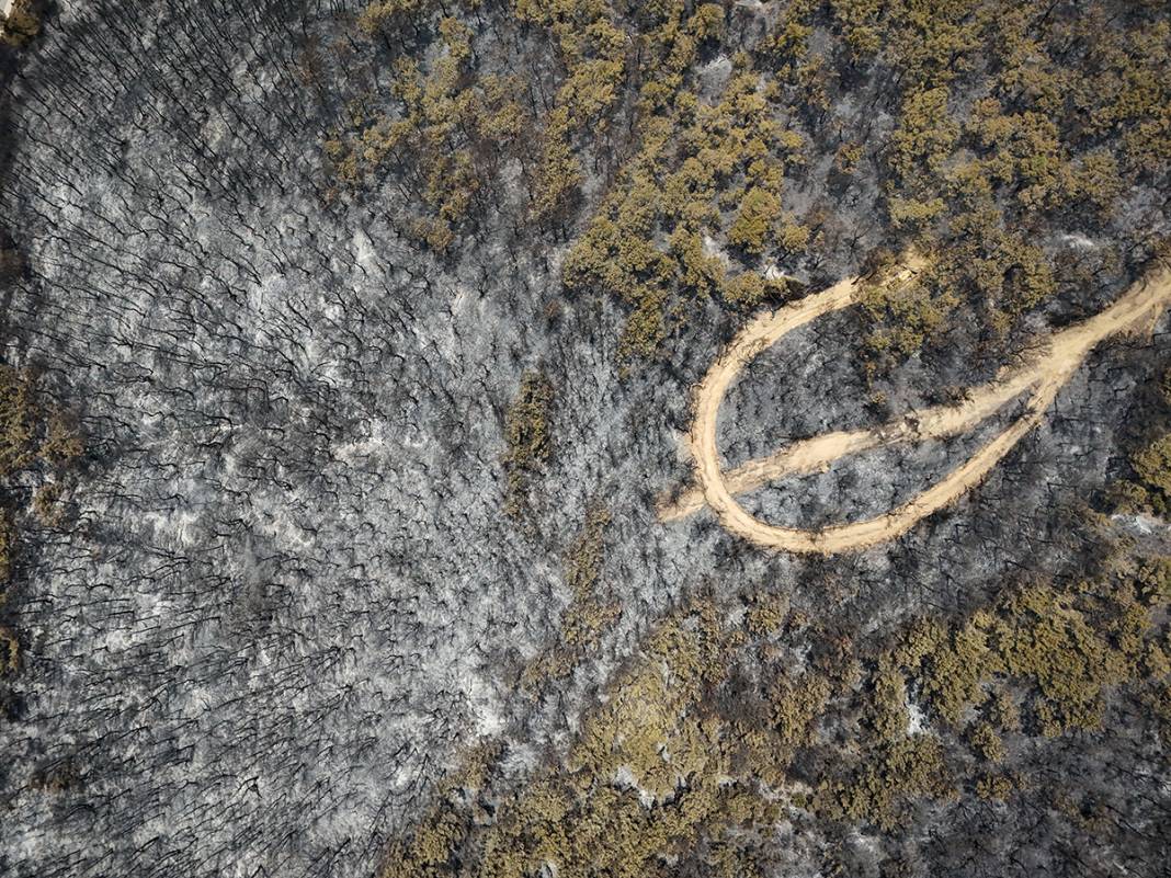Kahreden manzara! Bornova'da yanan ormanlar dronla görüntülendi 27